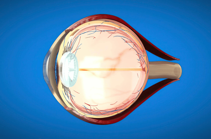 Glaucoma Services
