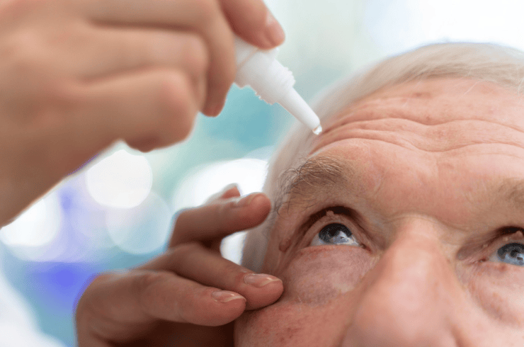 Retina & Diabetes